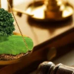 Земельні спори в суді
